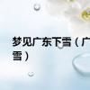 梦见广东下雪（广东下雪）