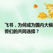 飞书,为何成为国内大模型独角兽们的共同选择?