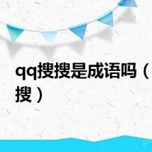 qq搜搜是成语吗（qq搜搜）
