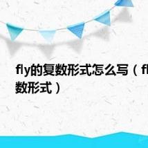 fly的复数形式怎么写(fly的复数形式)