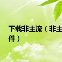 下载非主流（非主流软件）