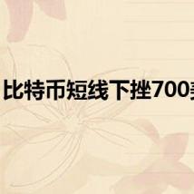 比特币短线下挫700美元