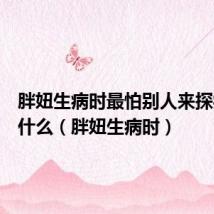 胖妞生病时最怕别人来探病时说什么（胖妞生病时）
