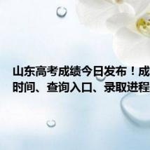 山东高考成绩今日发布!成绩发布时间、查询入口、录取进程表……