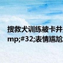 搜救犬训练被卡井盖&#32;表情尴尬