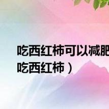 吃西红柿可以减肥吗（吃西红柿）