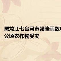 黑龙江七台河市强降雨致6000余公顷农作物受灾
