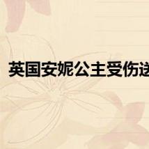 英国安妮公主受伤送医