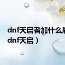 dnf天启者加什么属性（dnf天启）