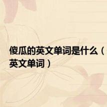 傻瓜的英文单词是什么(傻瓜的英文单词)