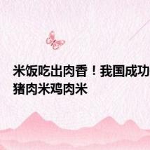 米饭吃出肉香!我国成功研发出猪肉米鸡肉米