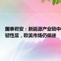 国泰君安:新能源产业链中国需求韧性足,欧美市场仍低迷