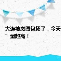 大连被岚图包场了，今天含“岚”量超高！