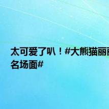 太可爱了叭!#大熊猫丽丽下班名场面#