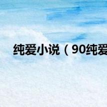 纯爱小说（90纯爱）
