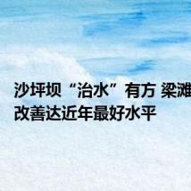 沙坪坝“治水”有方 梁滩河水质改善达近年最好水平