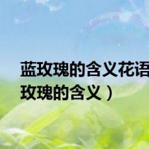 蓝玫瑰的含义花语（蓝玫瑰的含义）