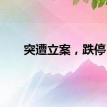 突遭立案，跌停
