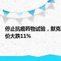 停止抗癌药物试验,默克集团股价大跌11%