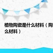 植物陶瓷是什么材料(陶瓷是什么材料)