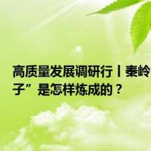 高质量发展调研行丨秦岭“菜篮子”是怎样炼成的?