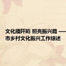 文化播阡陌 照亮振兴路 —— 菏泽市乡村文化振兴工作综述