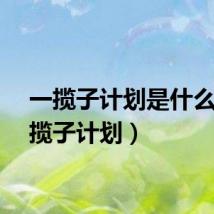 一揽子计划是什么（一揽子计划）