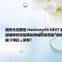 鍗庝负楦胯挋 HarmonyOS NEXT 鏂板鎵爜鐩磋揪鍔熻兘锛氱郴缁熺骇甯搁┗銆佹壂鍚庣洿鎺ヨ繘鍏ュ簲鐢?,