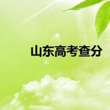山东高考查分