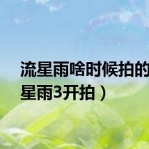 流星雨啥时候拍的（流星雨3开拍）