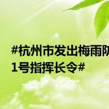 #杭州市发出梅雨防御第1号指挥长令#