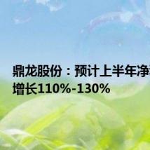 鼎龙股份:预计上半年净利同比增长110%-130%