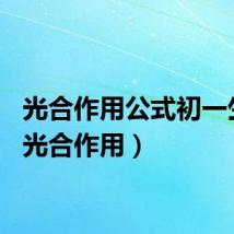 光合作用公式初一生物（光合作用）