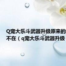 Q宠大乐斗武器升级原来的魂珠在不在(q宠大乐斗武器升级)