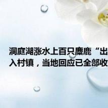洞庭湖涨水上百只麋鹿“出逃”进入村镇,当地回应已全部收回