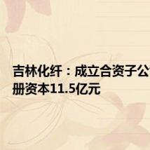 吉林化纤:成立合资子公司,注册资本11.5亿元