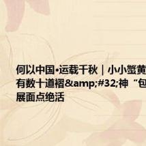 何以中国·运载千秋|小小蟹黄汤包原来有数十道褶 神“包”手母女展面点绝活