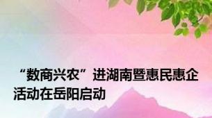 “数商兴农”进湖南暨惠民惠企活动在岳阳启动
