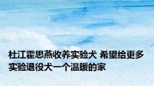 杜江霍思燕收养实验犬 希望给更多实验退役犬一个温暖的家