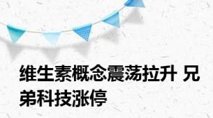 维生素概念震荡拉升 兄弟科技涨停