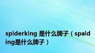 splderklng 是什么牌子（spalding是什么牌子）