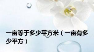 一亩等于多少平方米（一亩有多少平方）