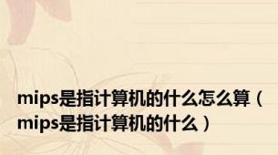 mips是指计算机的什么怎么算（mips是指计算机的什么）