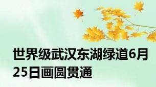 世界级武汉东湖绿道6月25日画圆贯通