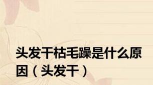 头发干枯毛躁是什么原因（头发干）