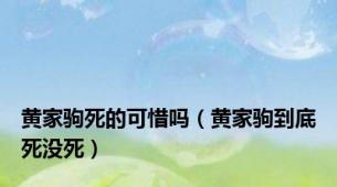 黄家驹死的可惜吗（黄家驹到底死没死）