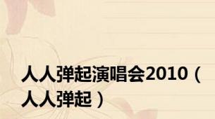 人人弹起演唱会2010（人人弹起）