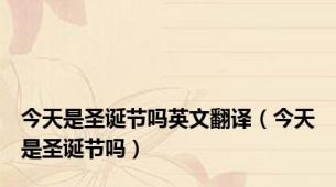 今天是圣诞节吗英文翻译（今天是圣诞节吗）