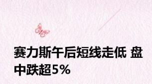 赛力斯午后短线走低 盘中跌超5%