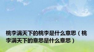 桃李满天下的桃李是什么意思（桃李满天下的意思是什么意思）